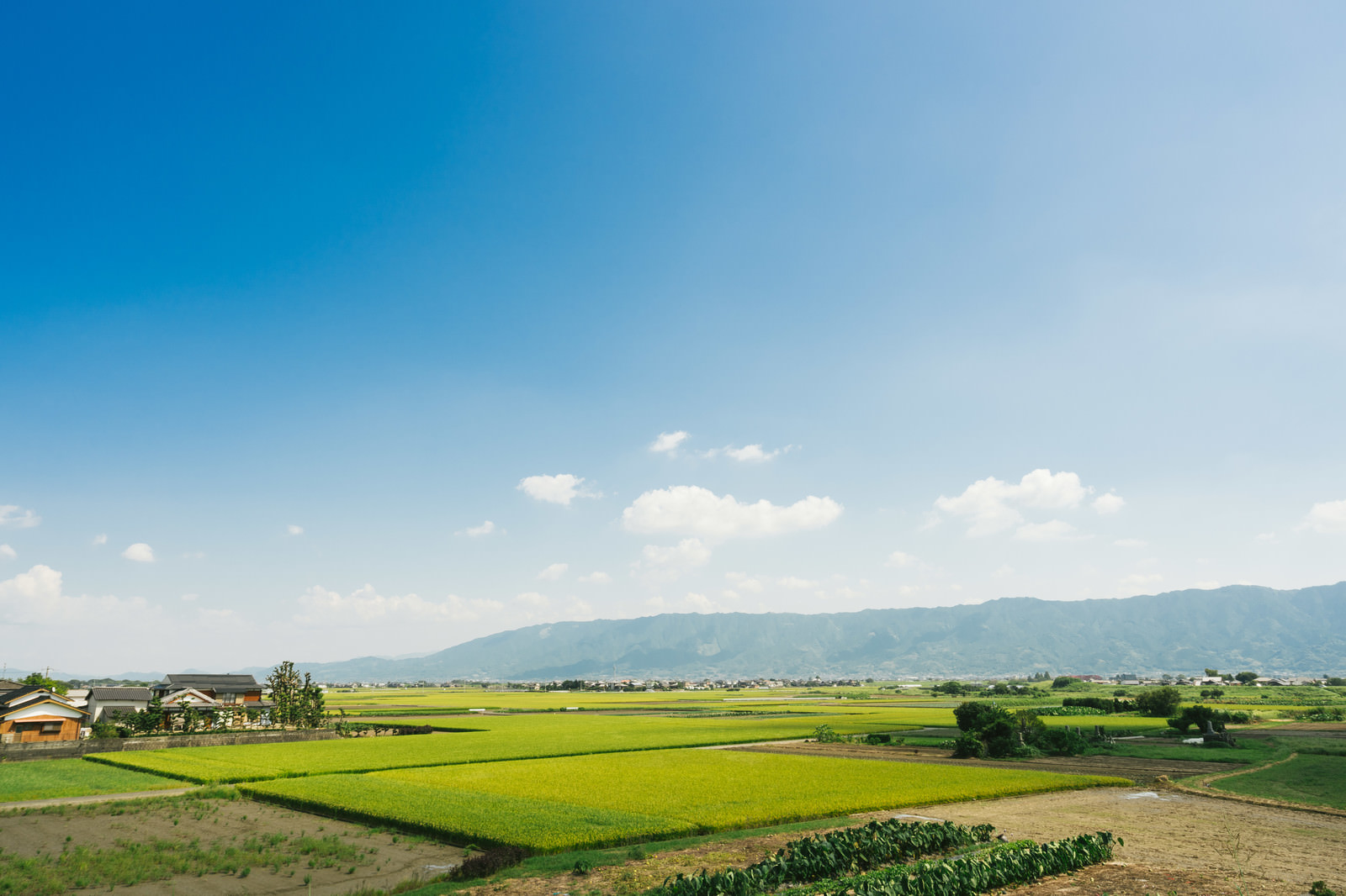 大刀洗 筑後平野 の田園風景の写真素材 ぱくたそ