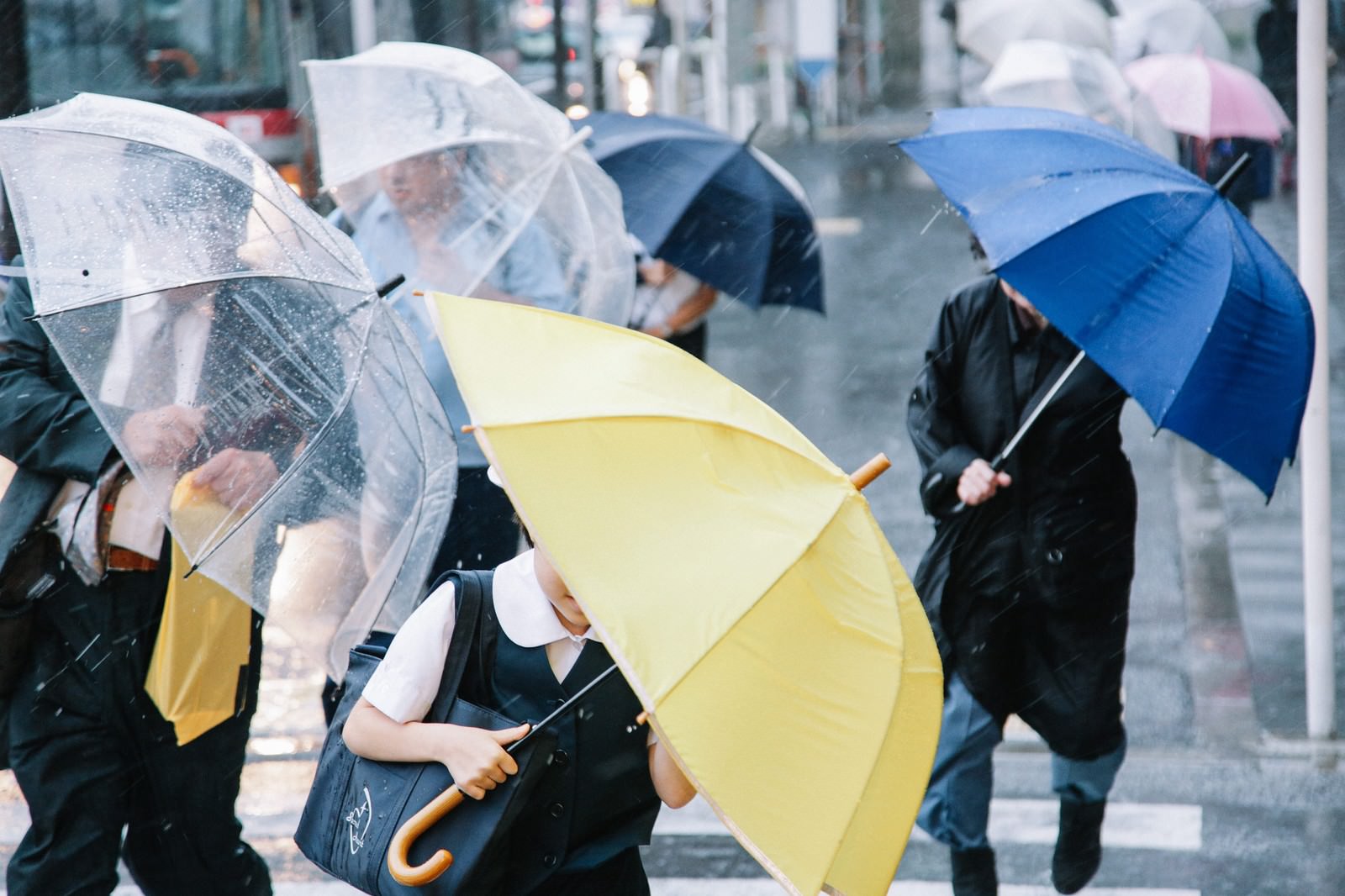 傘を斜めにするくらい横なぐりの雨の写真素材 ぱくたそ