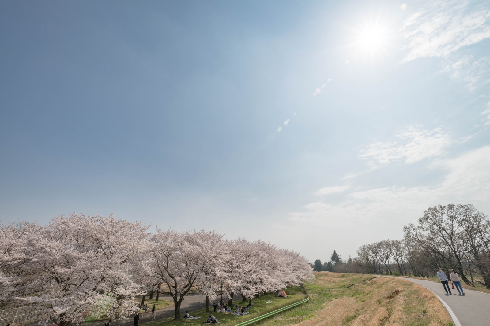 花見日和の写真を無料ダウンロード フリー素材 ぱくたそ 花見日和の写真を無料ダウンロード フリー素材 ぱくたそ