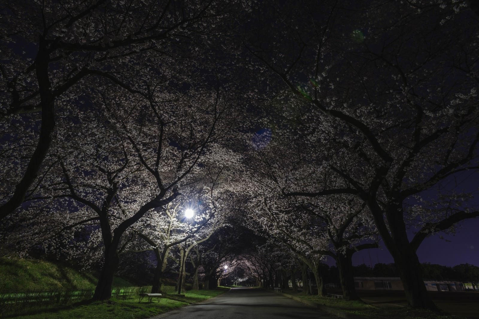 ãå¤æ¡ãã³ãã«å¤æ¡ãã³ãã«ãã®ããªã¼åçç´ æãæ¡å¤§