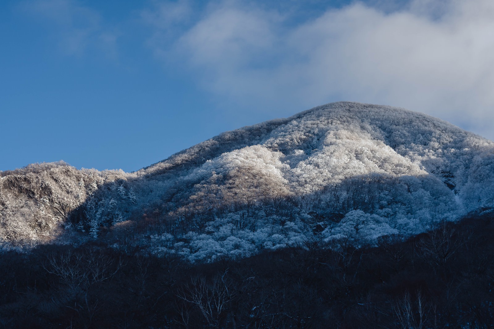 赤城の朝 赤城山 の写真を無料ダウンロード フリー素材 ぱくたそ