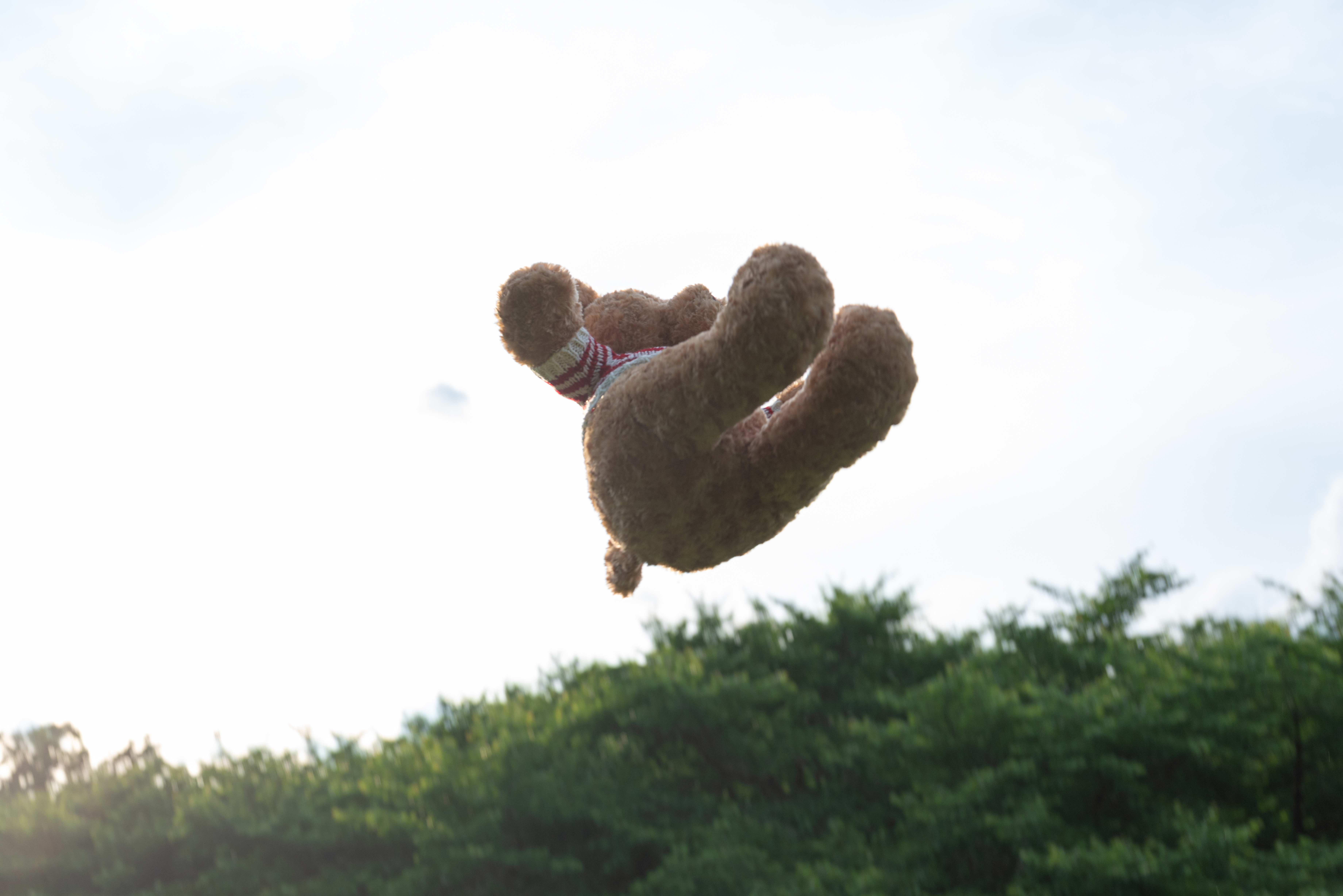 ヒャッホー 空を飛ぶくまのぬいぐるみ の写真素材 ぱくたそ