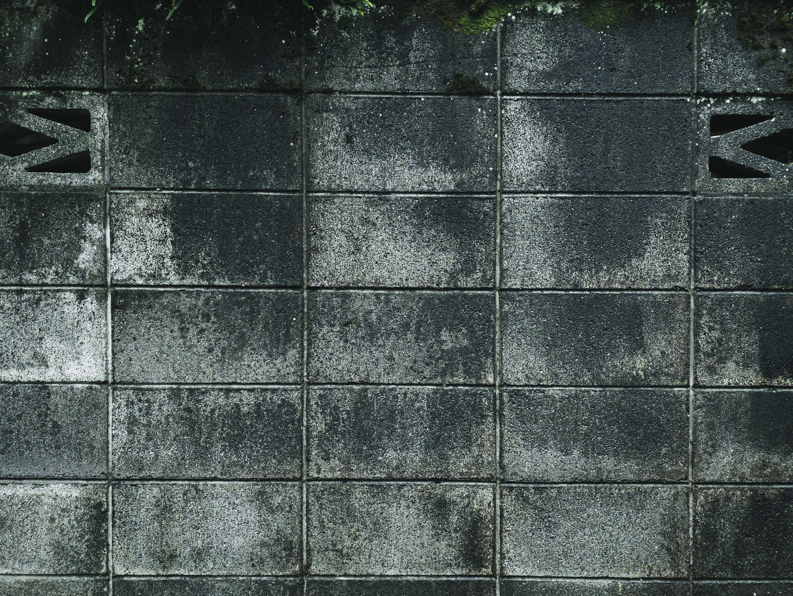 「外構のブロック塀（テクスチャー）」の写真