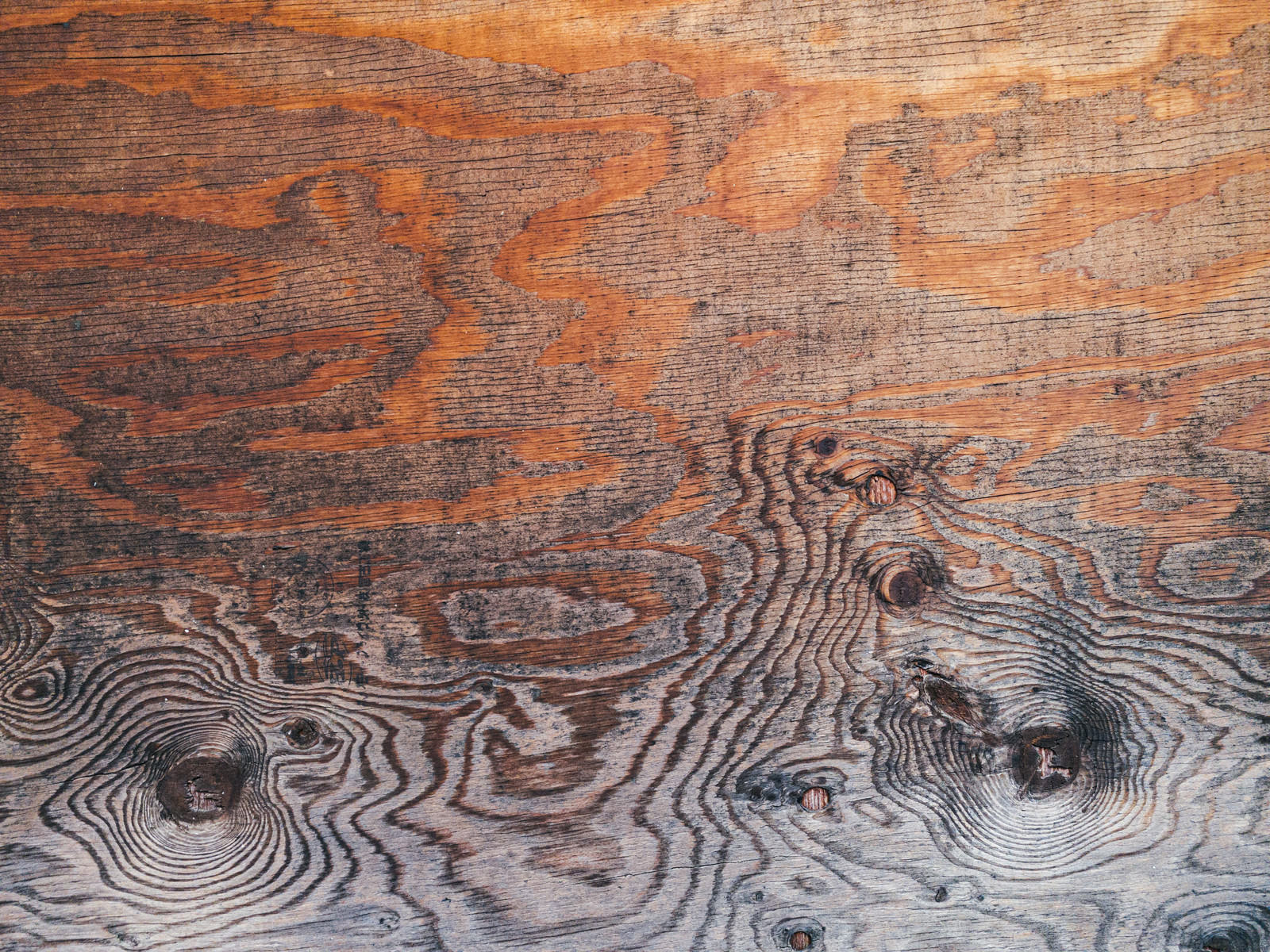 「不気味な木目が浮かび上がる板（テクスチャー）」の写真