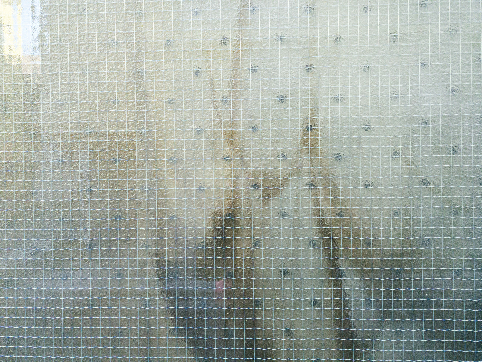 「カーテンが透けた線入りガラス」の写真