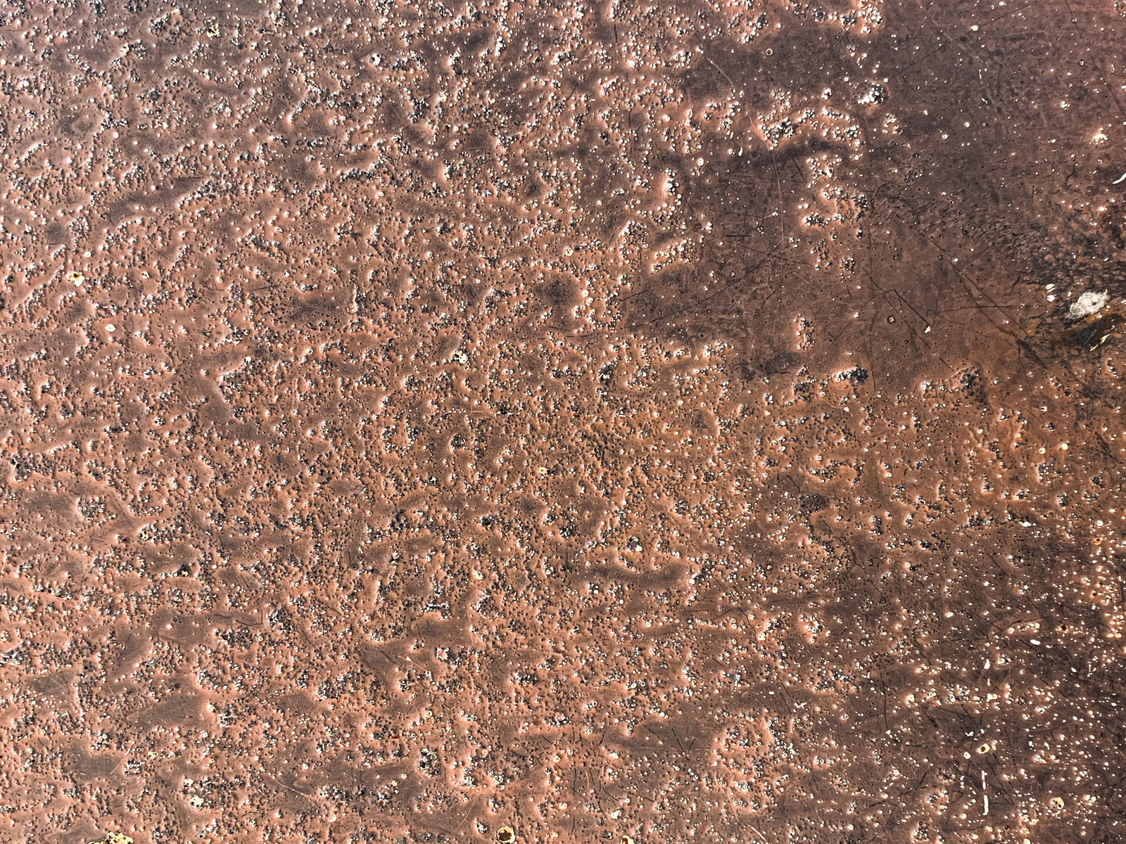 鍛金中の銅板 テクスチャ の写真を無料ダウンロード フリー素材 ぱくたそ