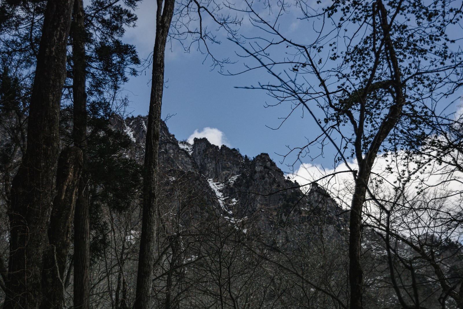 「木々の合間に見える雪を残す戸隠山の姿 | フリー素材のぱくたそ」の写真