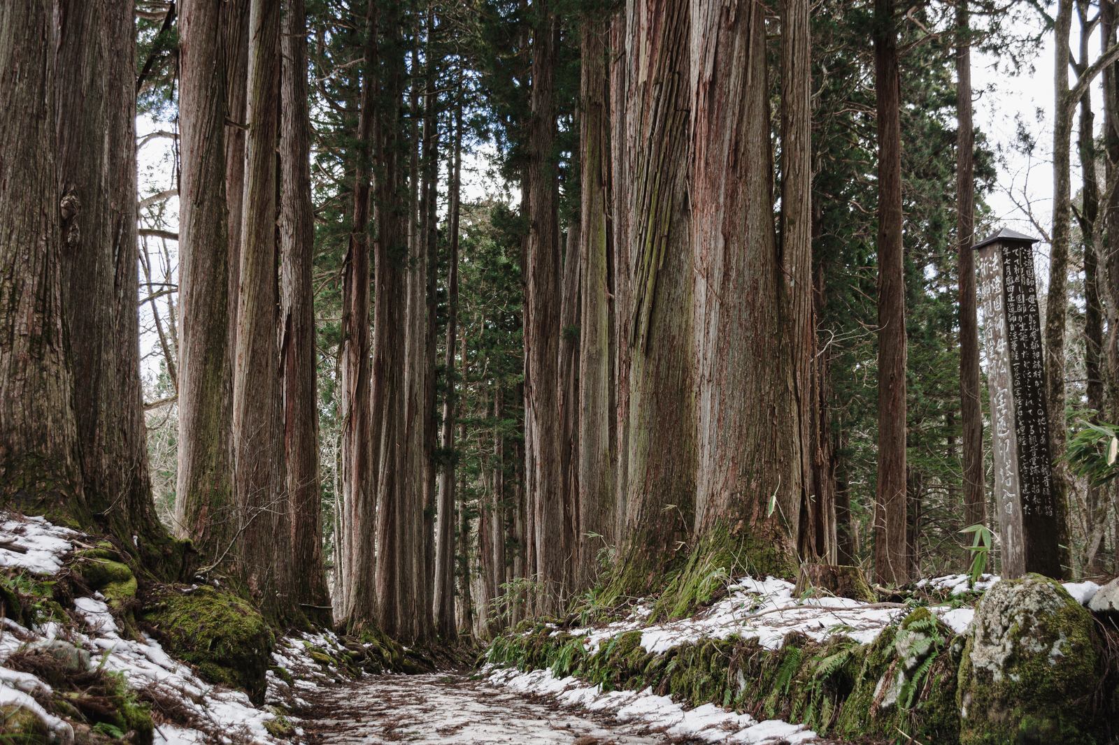 法燈国師母公祈願観音堂跡 宝篋印塔入口の碑と雪の残る杉並木の写真素材 ぱくたそ 法燈国師母公祈願観音堂跡 宝篋印塔入口の碑と雪の残る杉並木の写真素材 ぱくたそ