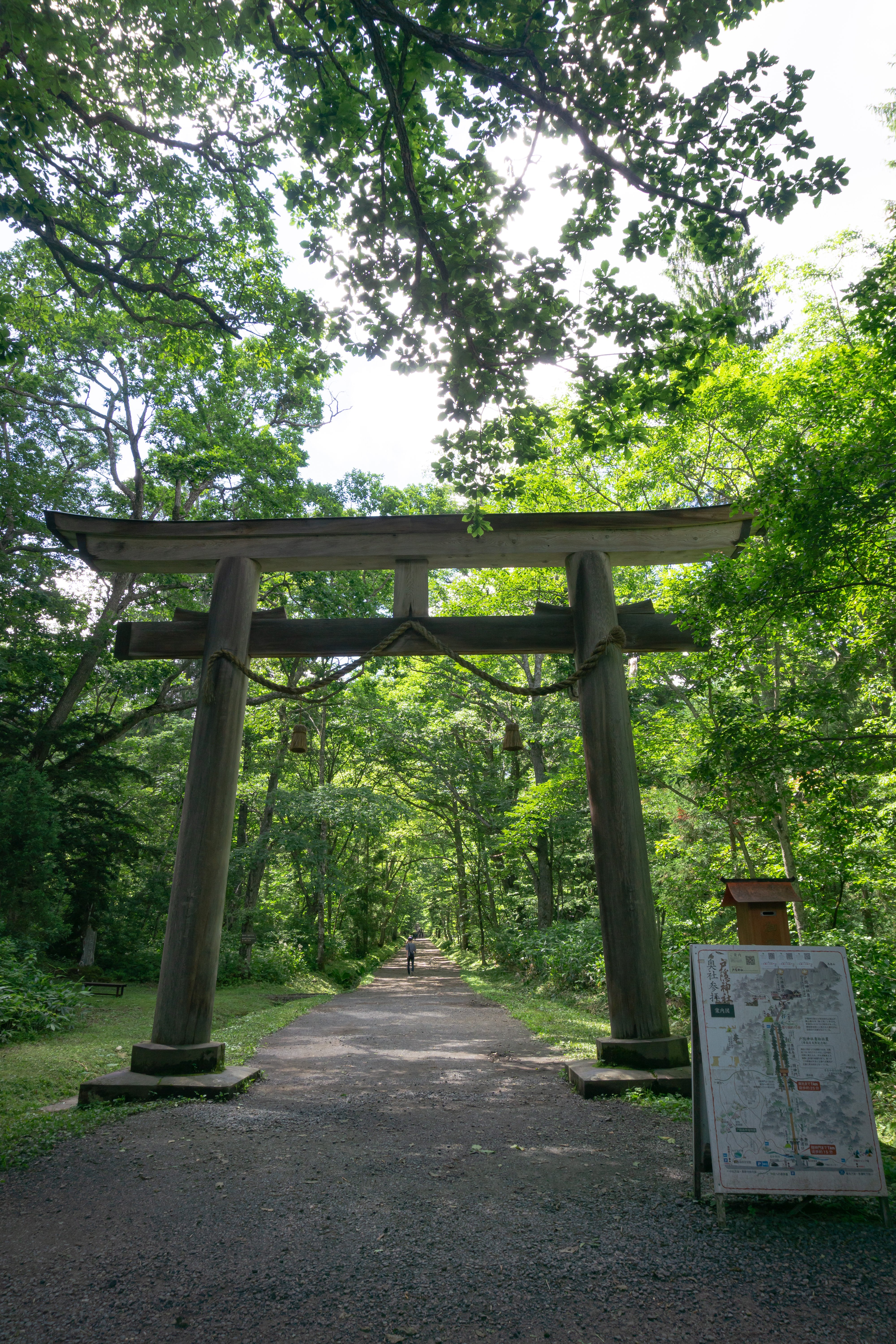 戸隠神社大鳥居と案内図の写真素材 ぱくたそ