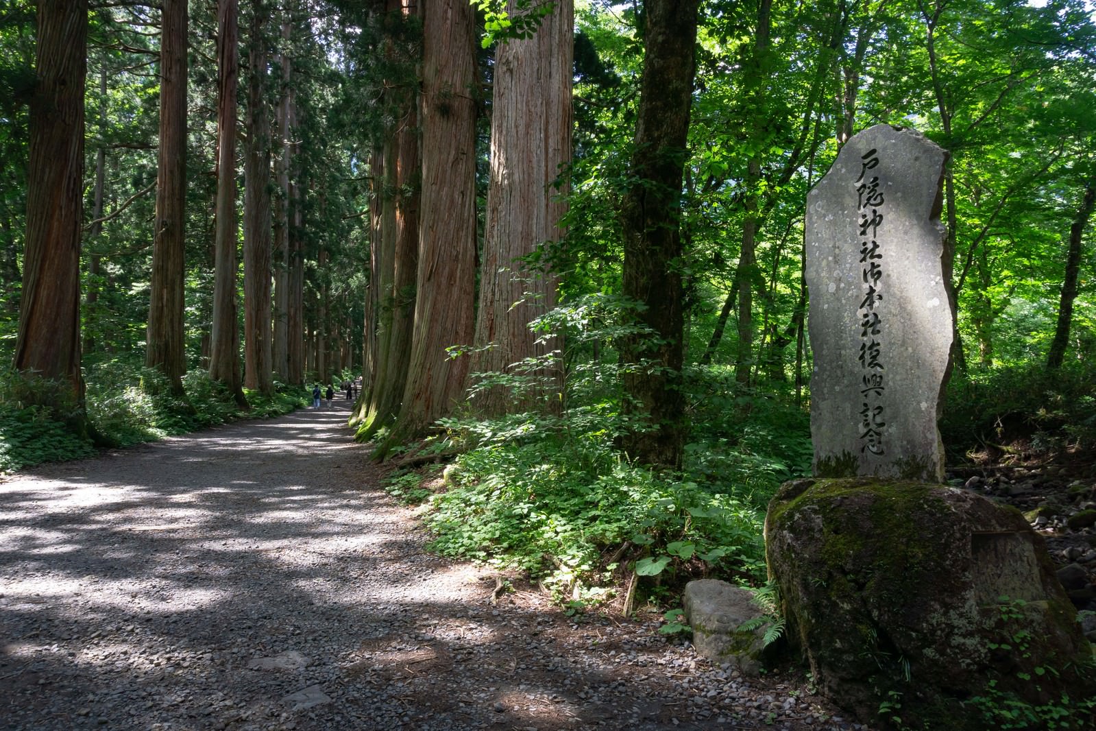 奥社杉並木と参道脇に建つ戸隠神社御本社 奥社 復興記念の碑の写真素材 ぱくたそ