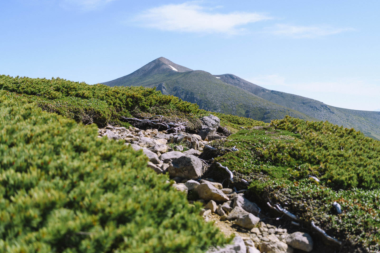 「上ホロカメットク山山腹から眺める十勝岳」の写真