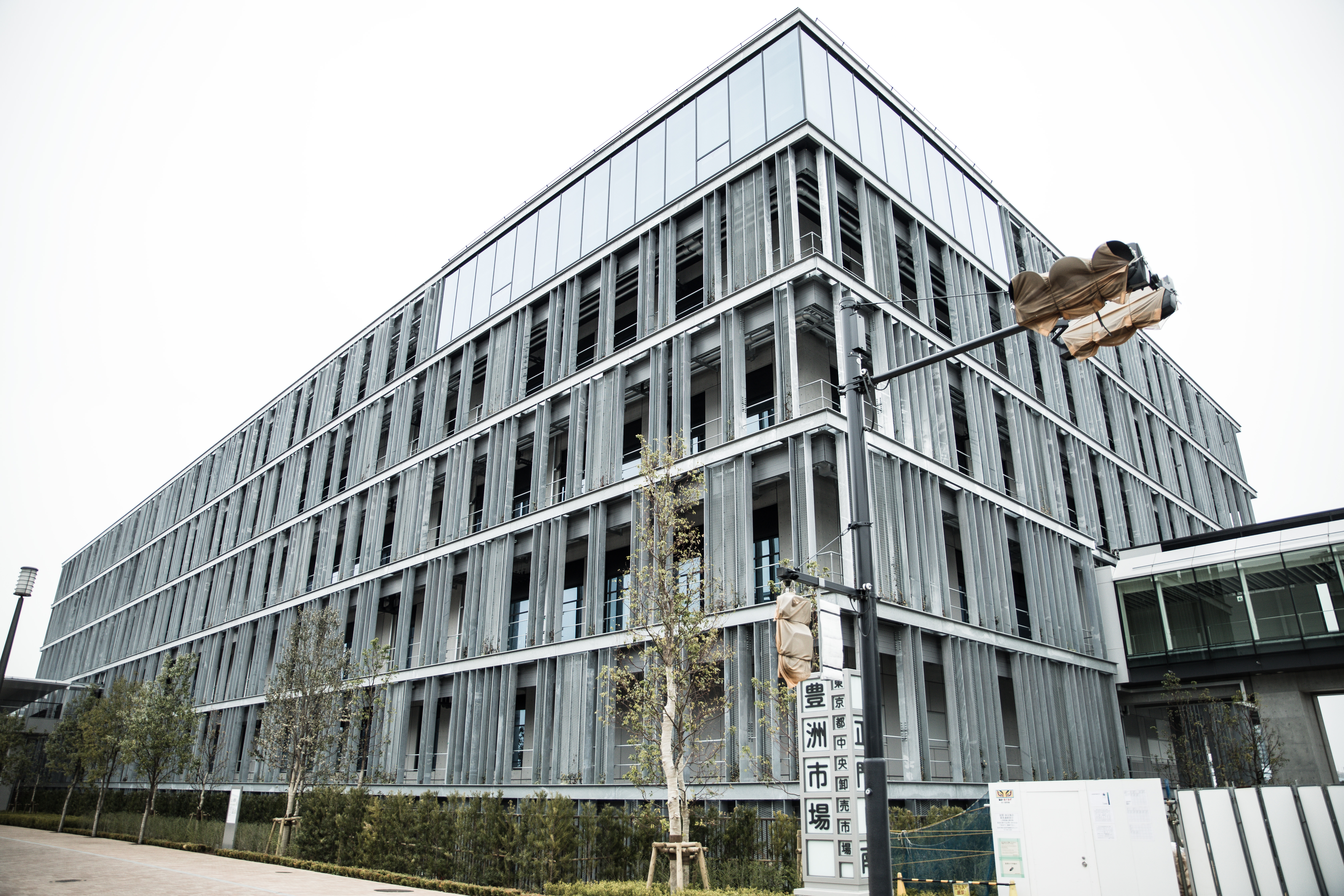 豊洲市場の管理施設棟の写真 画像 を無料ダウンロード フリー素材のぱくたそ 豊洲市場の管理施設棟の写真 画像 を無料ダウンロード フリー素材のぱくたそ