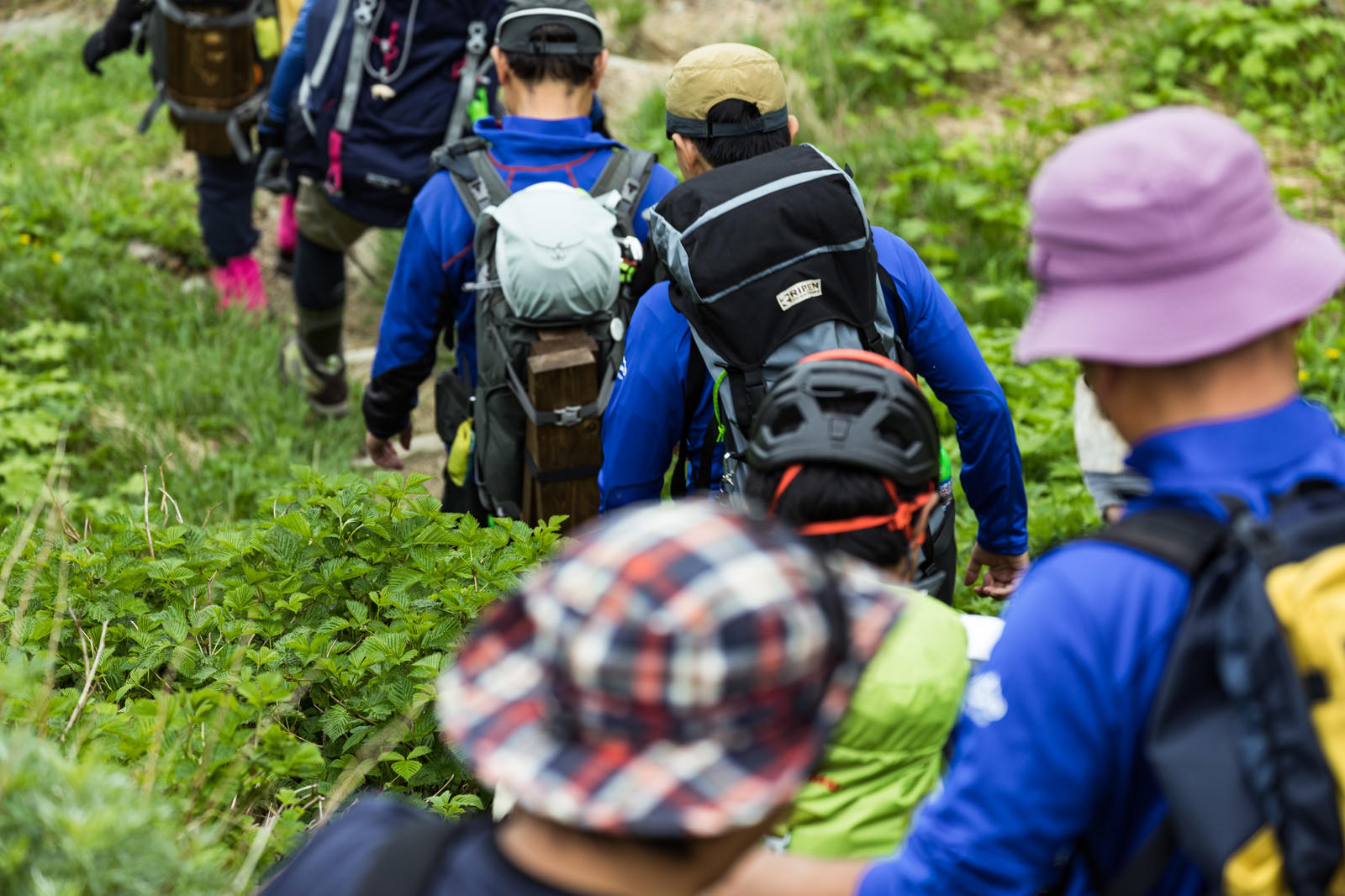 列を作って下山する登山者のフリー素材