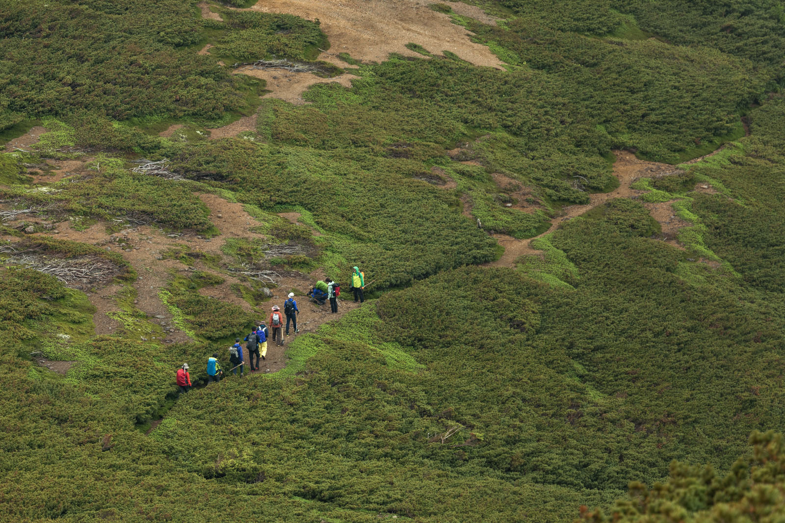 乗鞍新登山道を歩く登山者の列のフリー素材