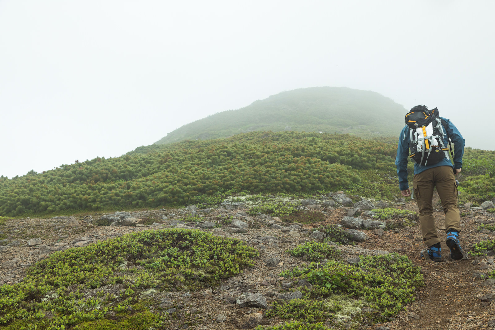 傾斜のある登山道を歩くのフリー素材