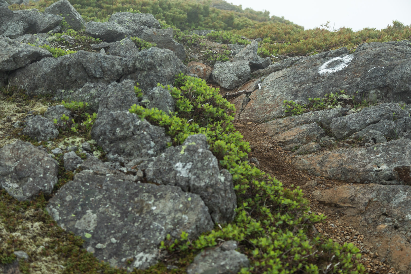 乗鞍新登山道（硫黄岳付近）のフリー素材