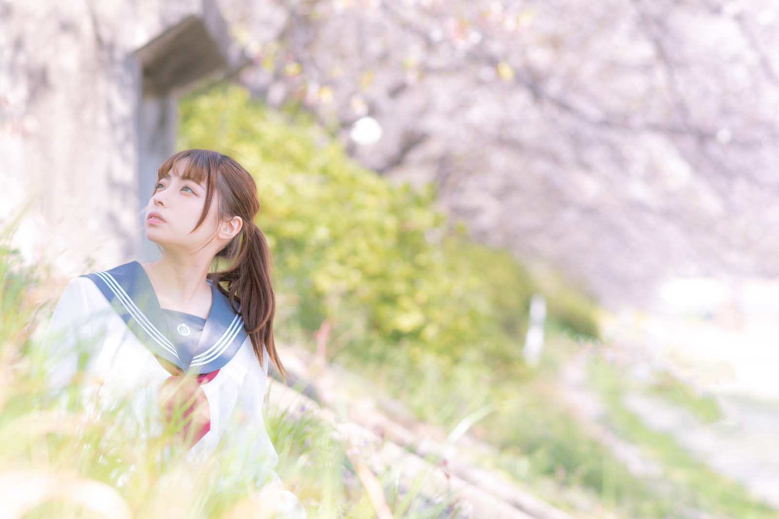 「春爛漫。桜を満喫する女子高生 | フリー素材のぱくたそ」の写真［モデル：高尾実生］