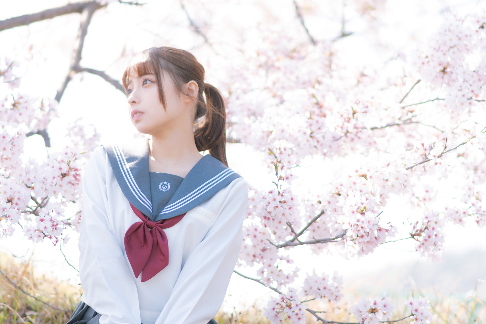 「桜満開と女子校生 | フリー素材のぱくたそ」の写真［モデル：高尾実生］
