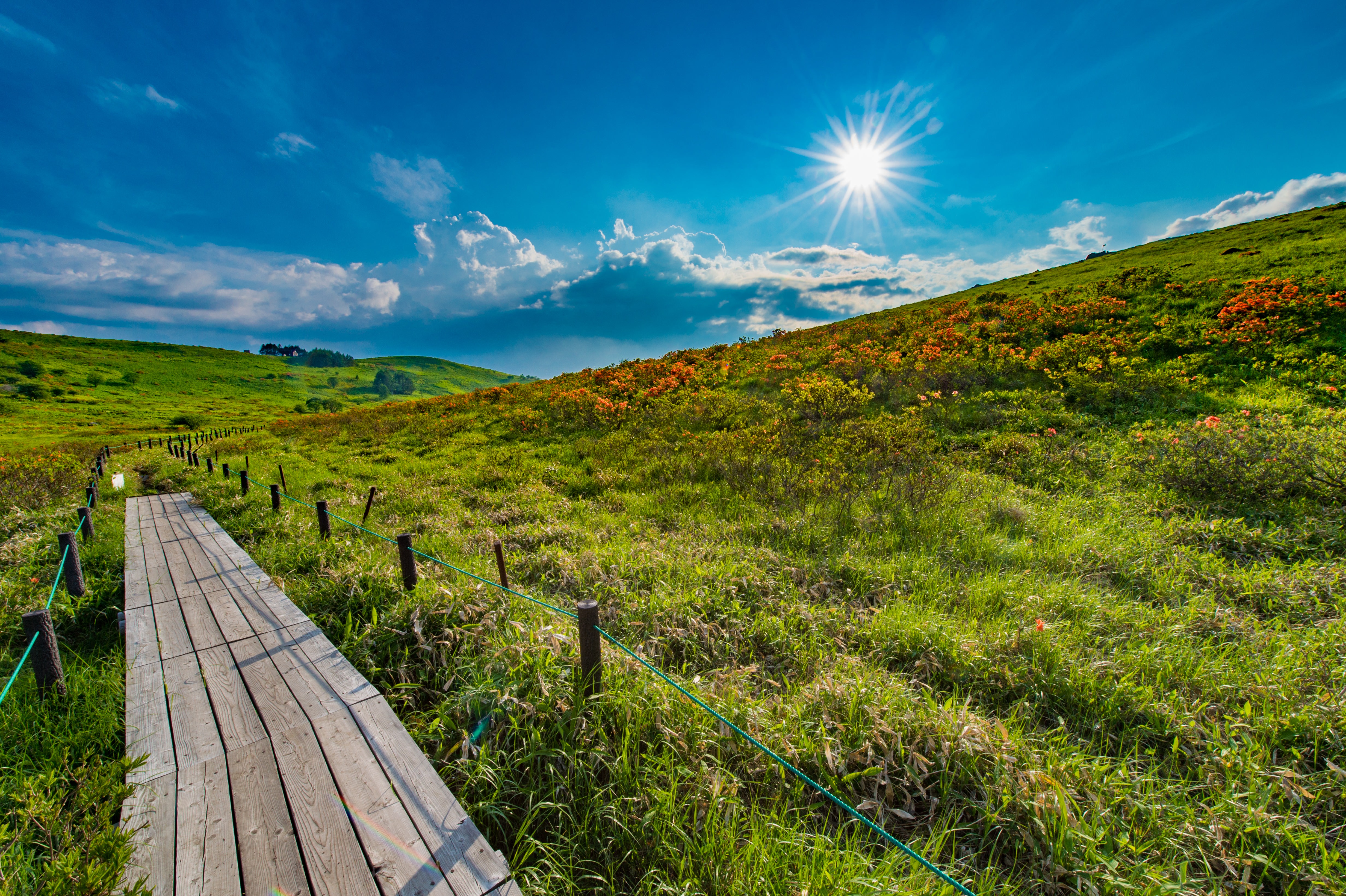 車山高原のハイキングコースの写真素材 ぱくたそ
