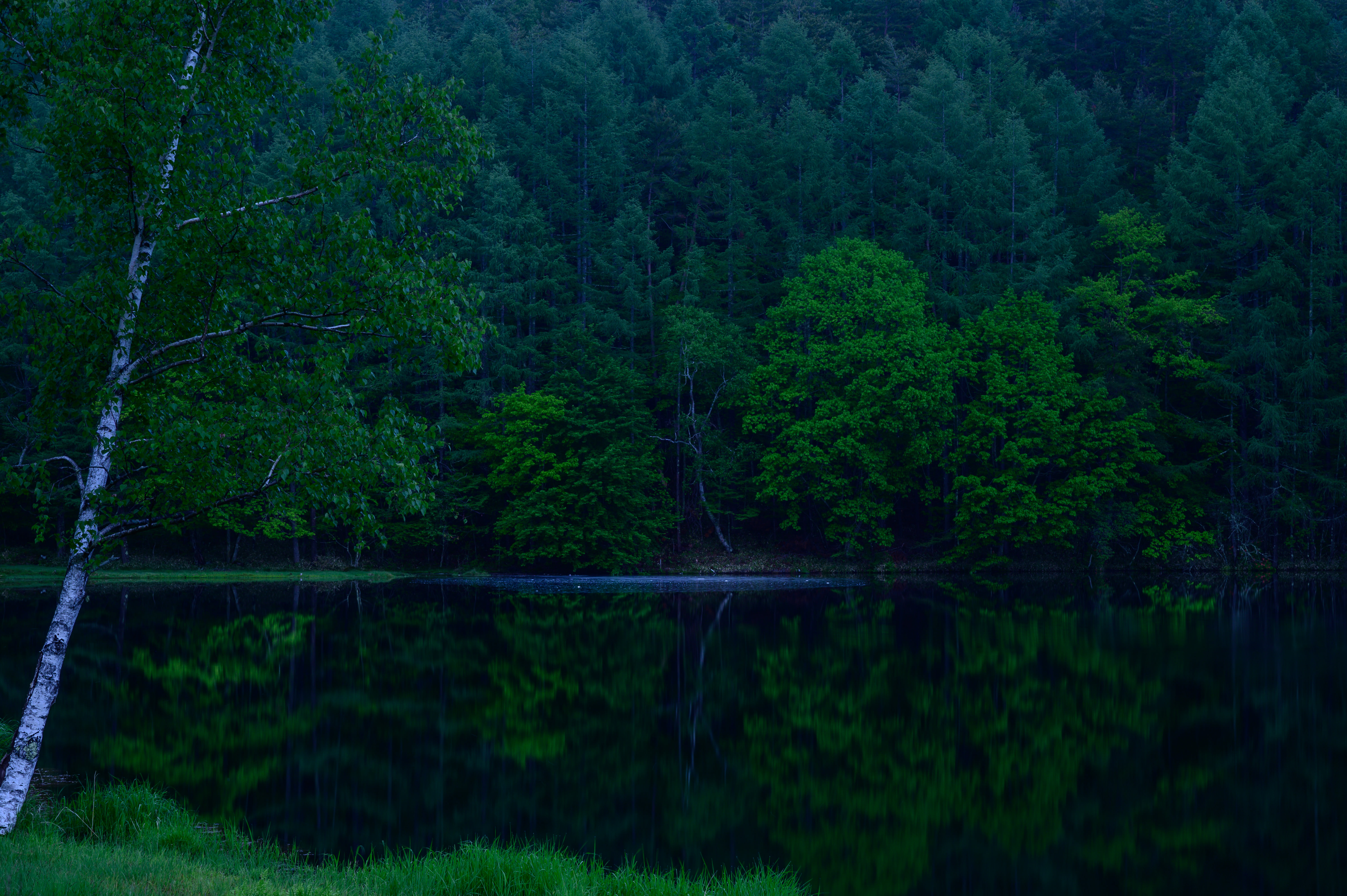 新緑の御射鹿池の写真素材 ぱくたそ