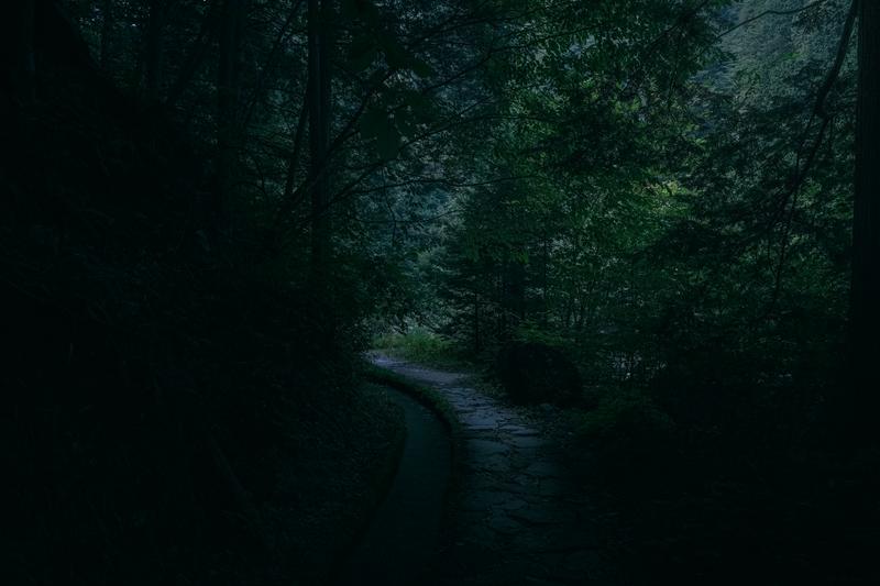 静寂に包まれた付知峡の曲がりくねった小道の無料の写真素材 - ID