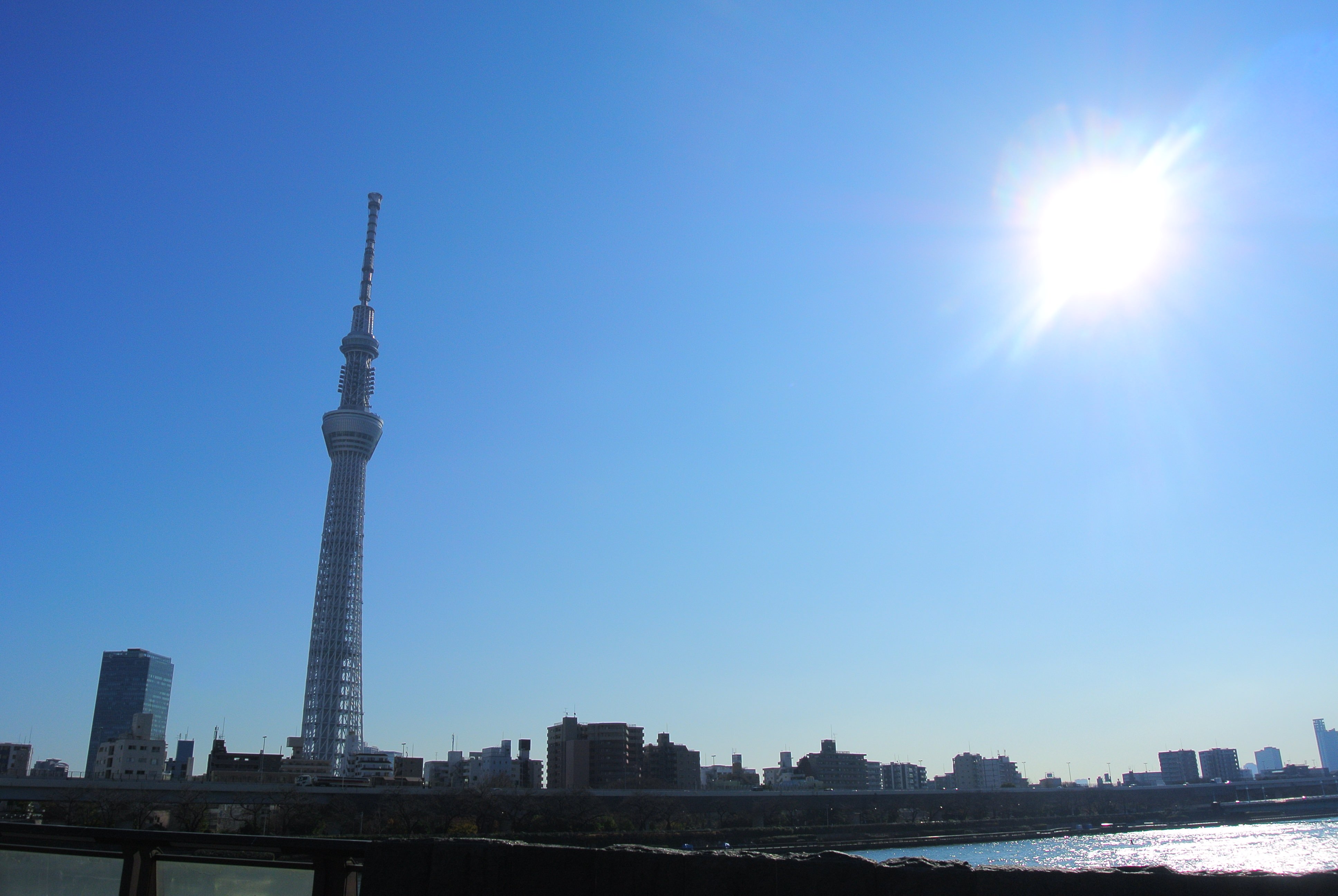 太陽とスカイツリーの写真 画像 フリー素材 ぱくたそ