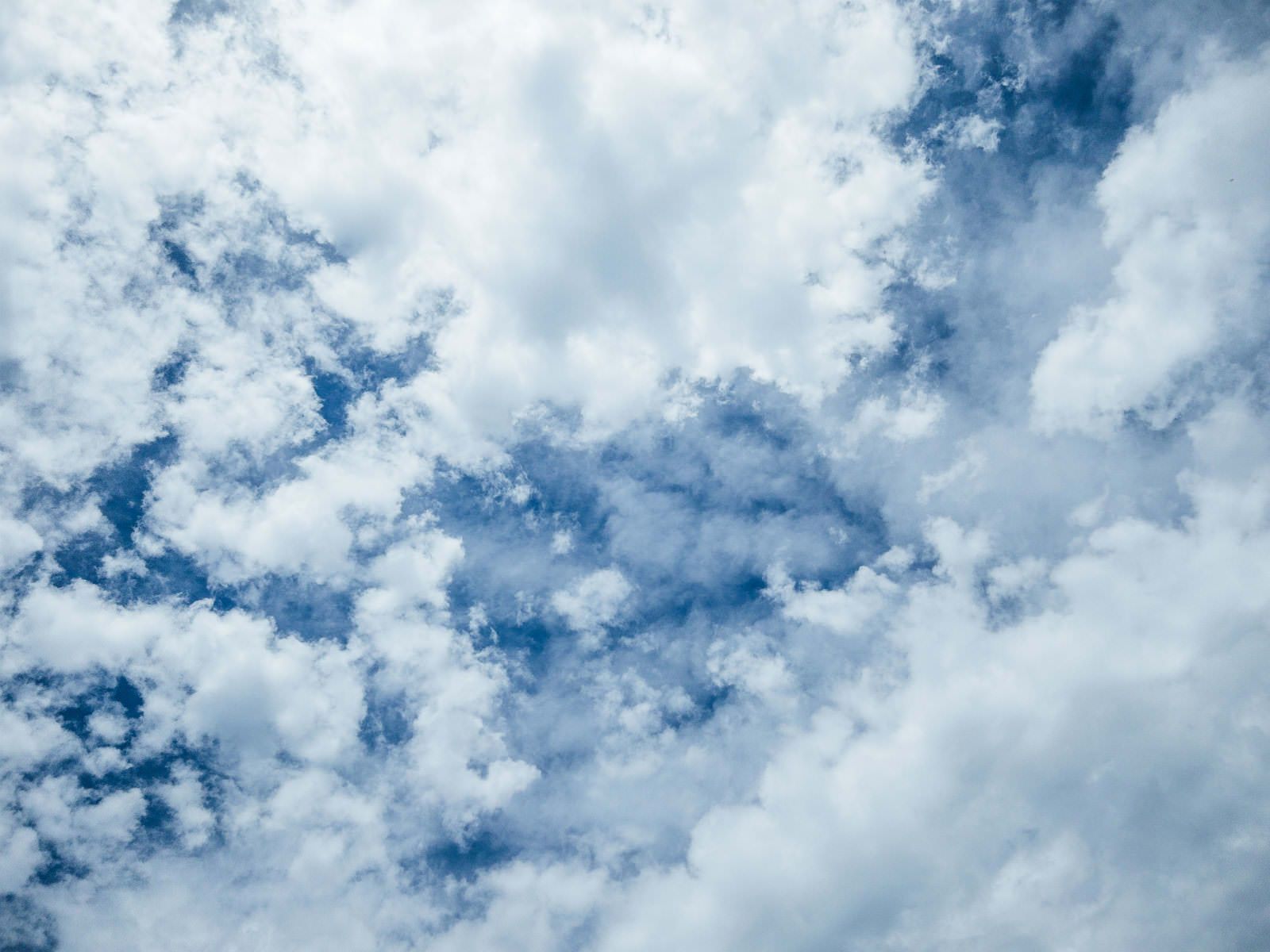 「青空を隠す雲 | フリー素材のぱくたそ」の写真
