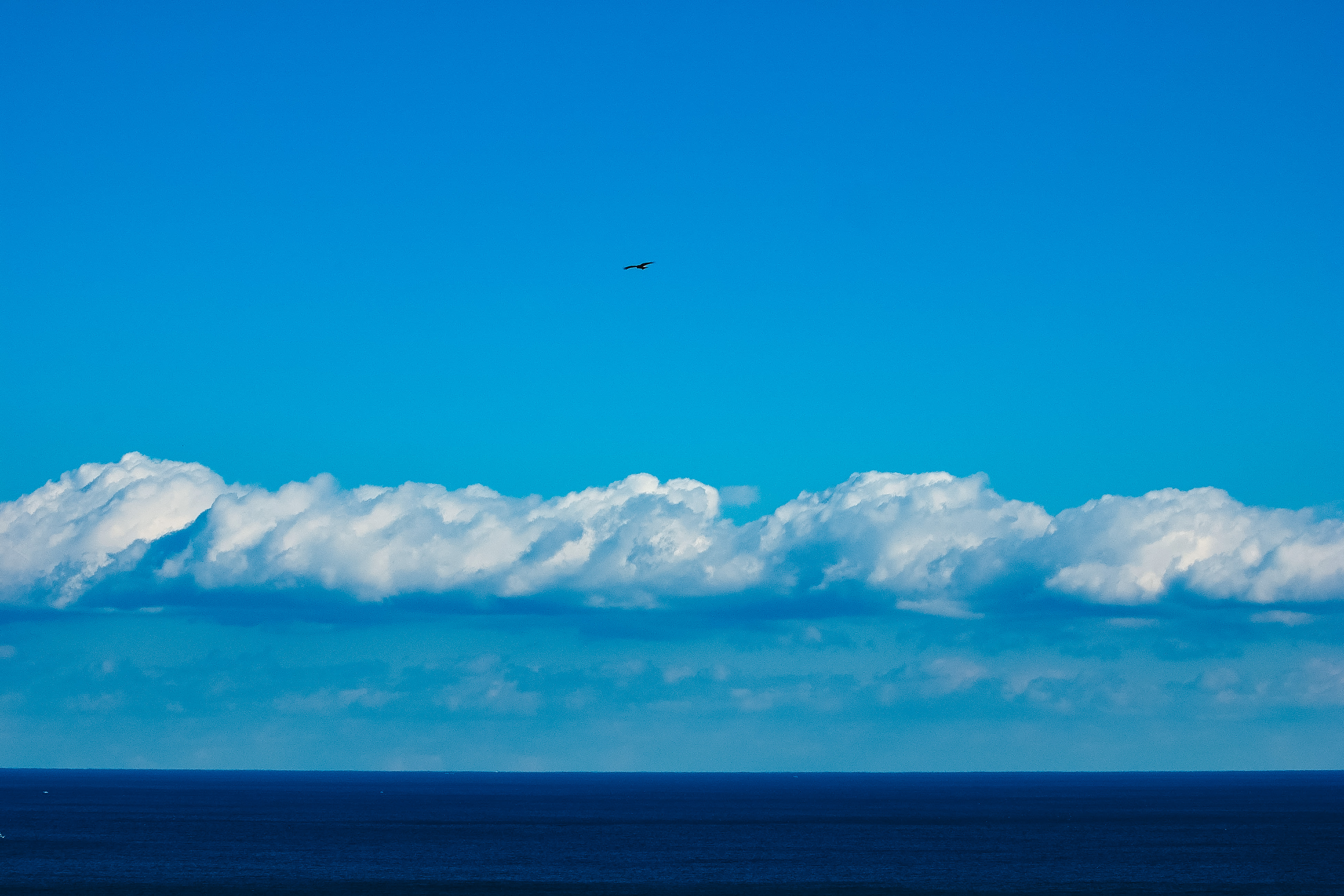 真っ青な海と空との間に伸びる水平線の写真素材 ぱくたそ