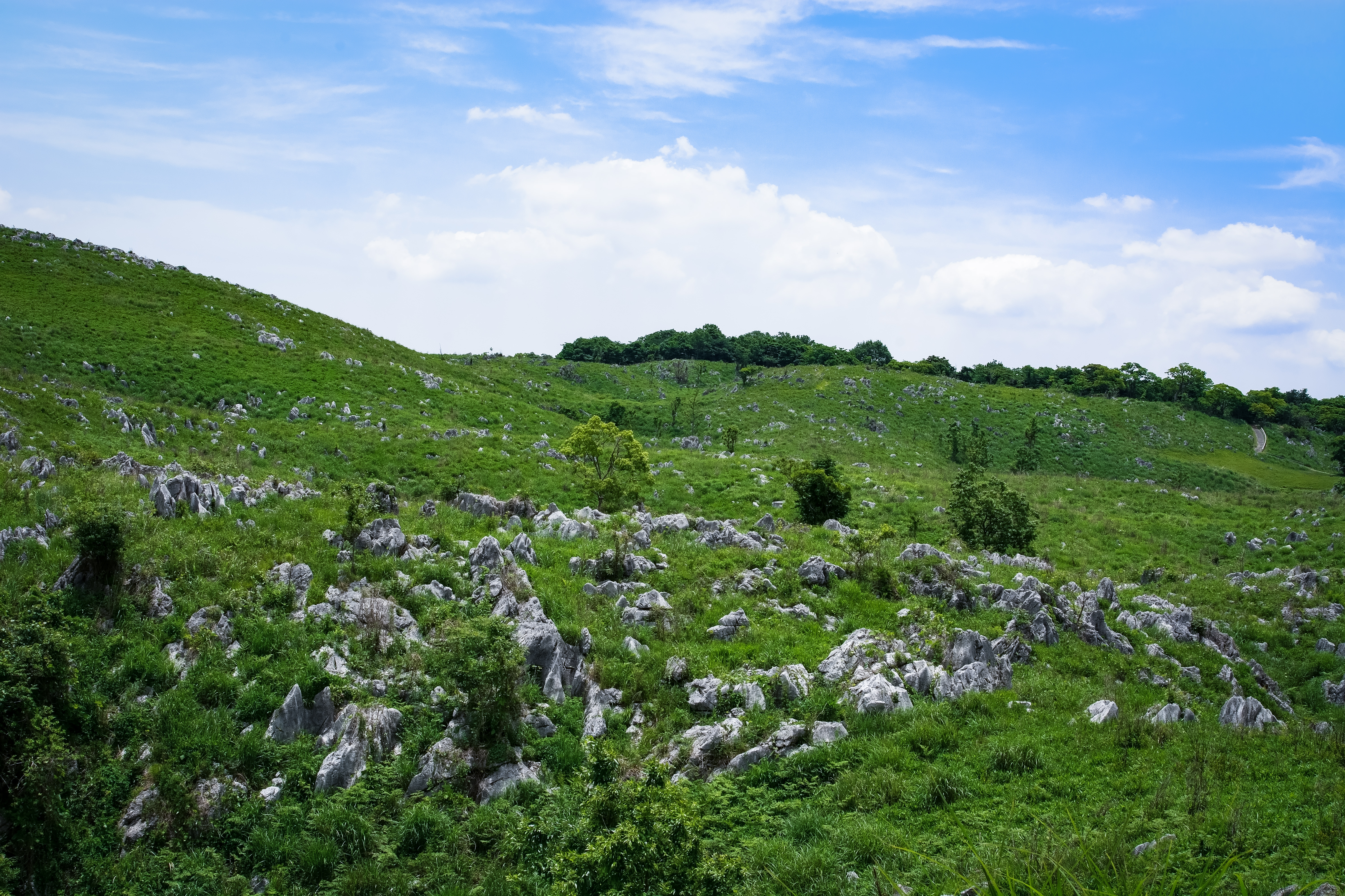 無数の石灰岩が露呈する草原 山口県美祢市 の写真素材 ぱくたそ
