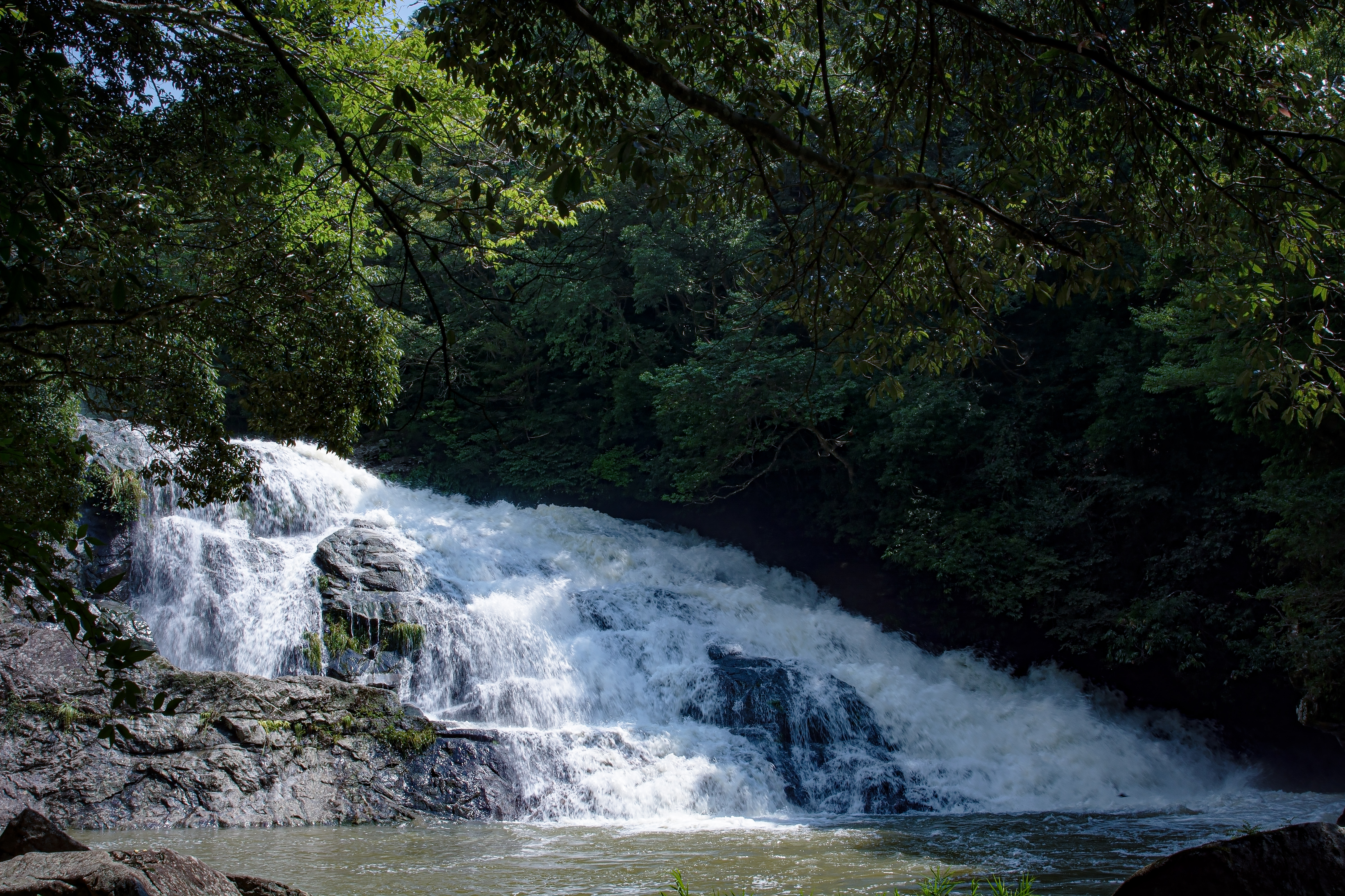 増水して荒ぶる二畳ヶ滝 愛知県豊田市 の写真素材 ぱくたそ