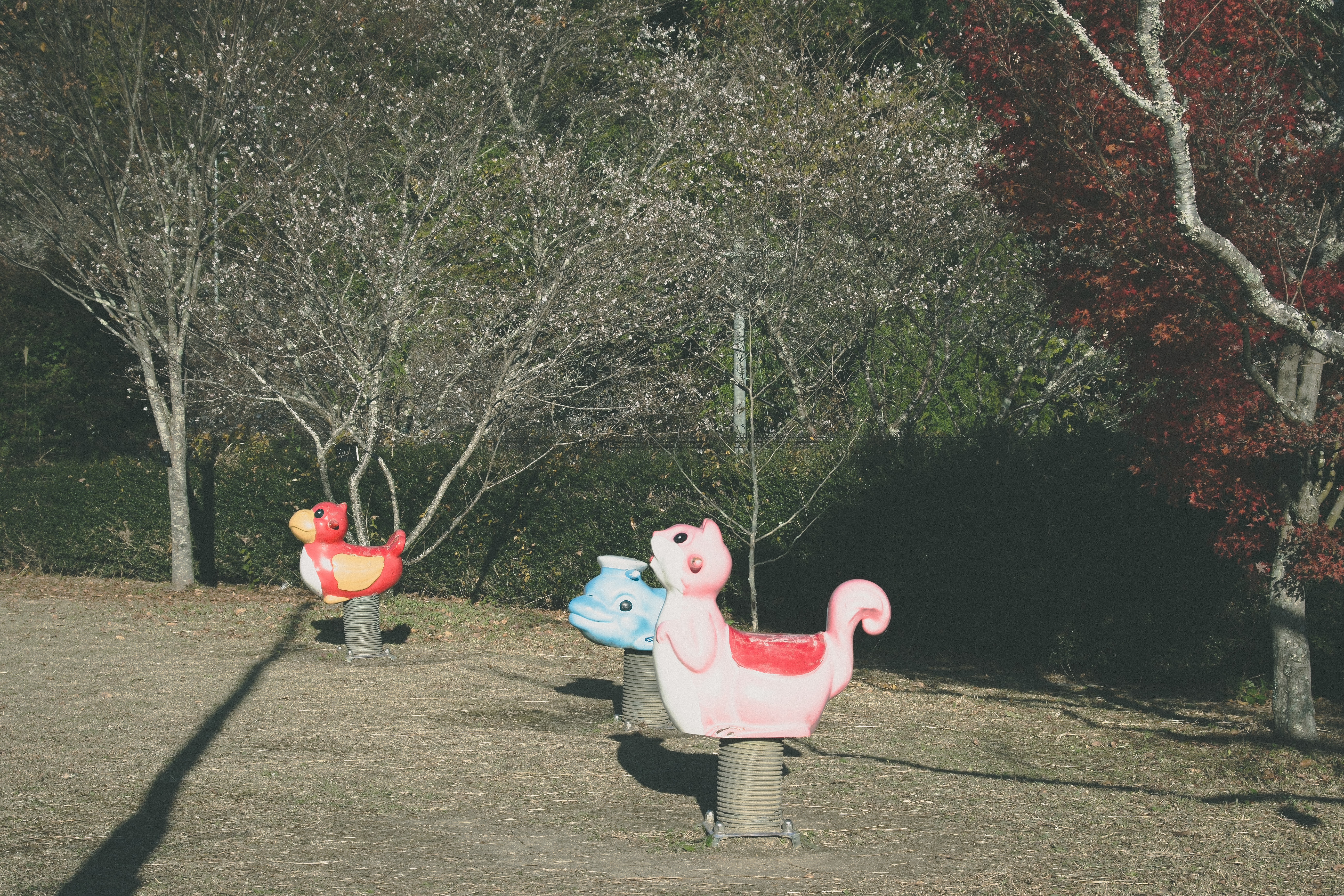 公園に設置された動物型のスプリング遊具の写真を無料ダウンロード フリー素材 ぱくたそ 公園に設置された動物型のスプリング遊具の写真を無料ダウンロード フリー素材 ぱくたそ
