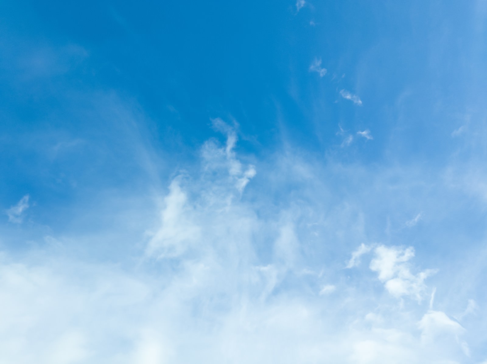 「薄雲のいい天気」の写真