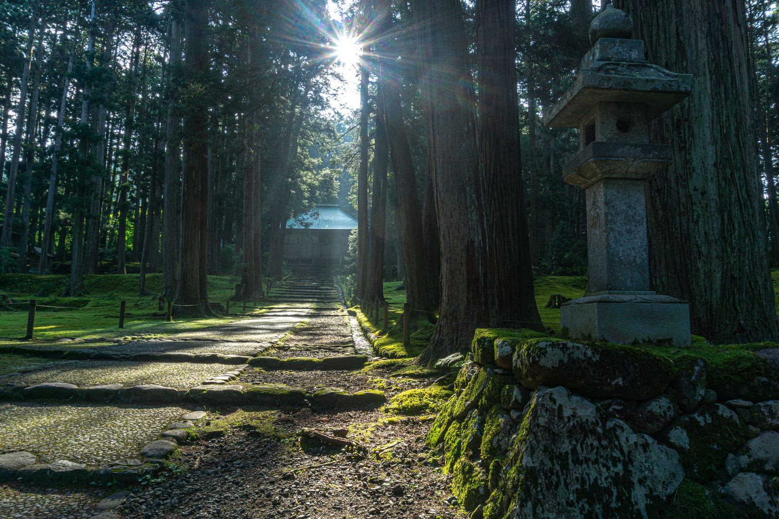 「白山神社拝殿の頭上から顔を覗かせる朝の太陽 | フリー素材のぱくたそ」の写真
