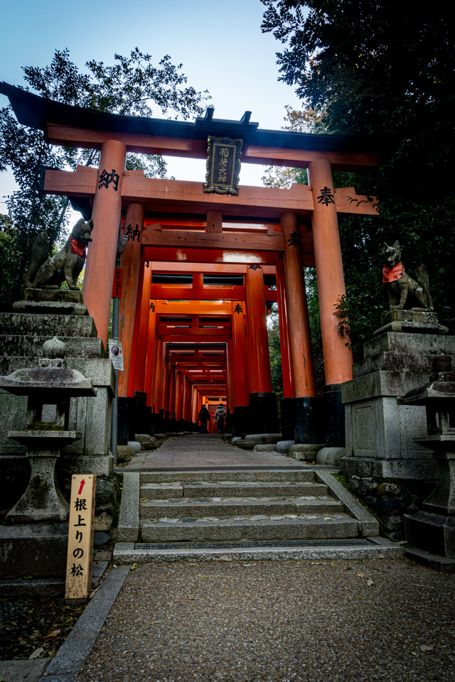 \u5965\u793e\u5317\u5074\u306b\u3042\u308b\u304a\u5c71\u3081\u3050\u308a\u5165\u308a\u53e3\u304b\u3089\u59cb\u307e\u308b\u9ce5\u5c45\u306e\u9023\u306a\u308a\u3068\u6839\u4e0a\u308a\u306e\u677e\u306e\u6848\u5185\u306e\u7121\u6599\u306e\u5199\u771f\u7d20\u6750 - ID.81592\uff5c\u30d5\u30ea\u30fc\u7d20\u6750 \u3071\u304f\u305f\u305d