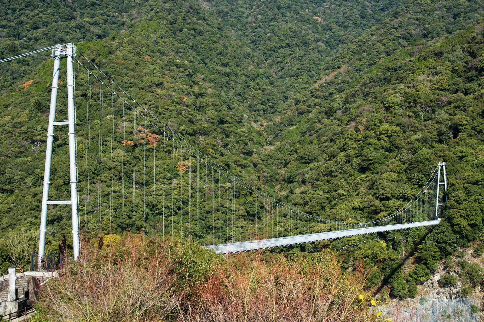 「照葉大吊橋（宮崎県東諸県郡綾町）」の写真