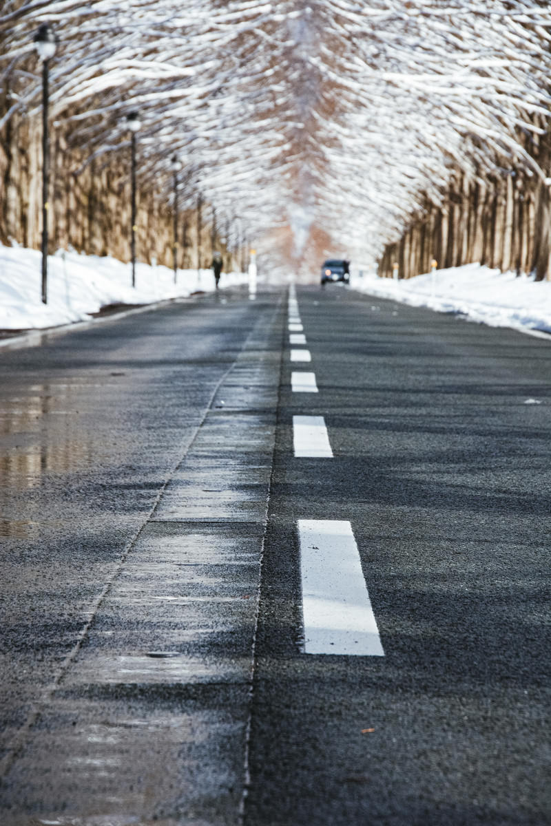 車道に埋め込まれた消雪パイプ とセンターライン マキノ高原 の写真を無料ダウンロード フリー素材 ぱくたそ