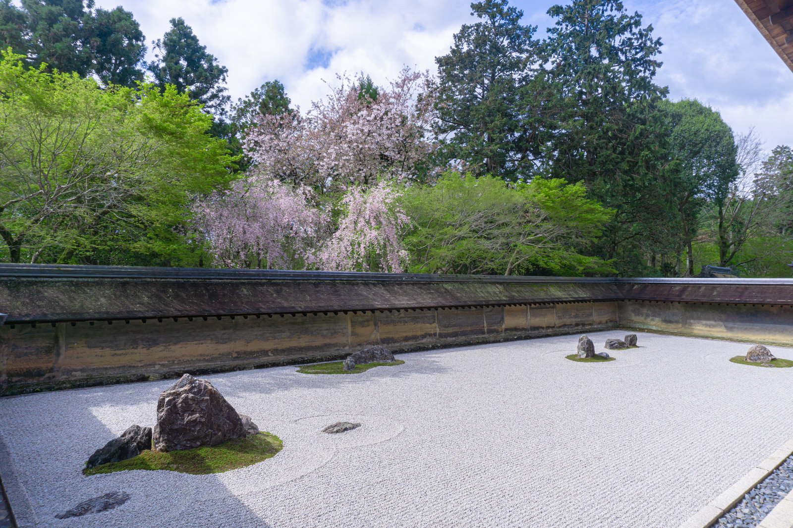 「枝垂桜が彩を添える春の龍安寺石庭 | フリー素材のぱくたそ」の写真
