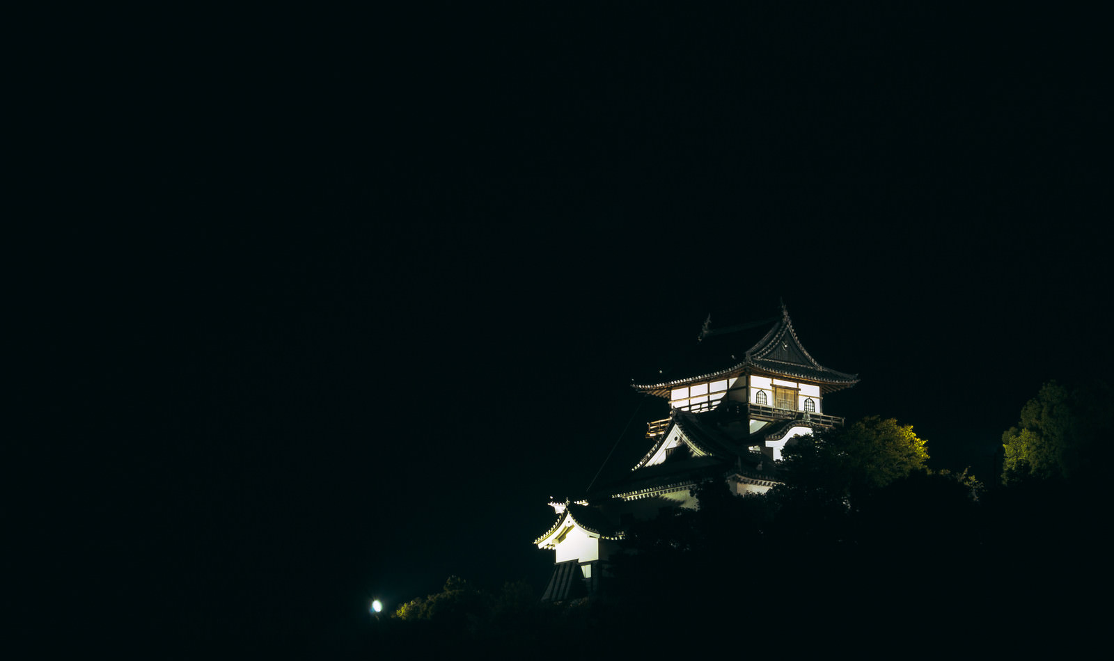 「暗闇と森に囲まれた中ライトアップされて輝く犬山城天守閣」の写真