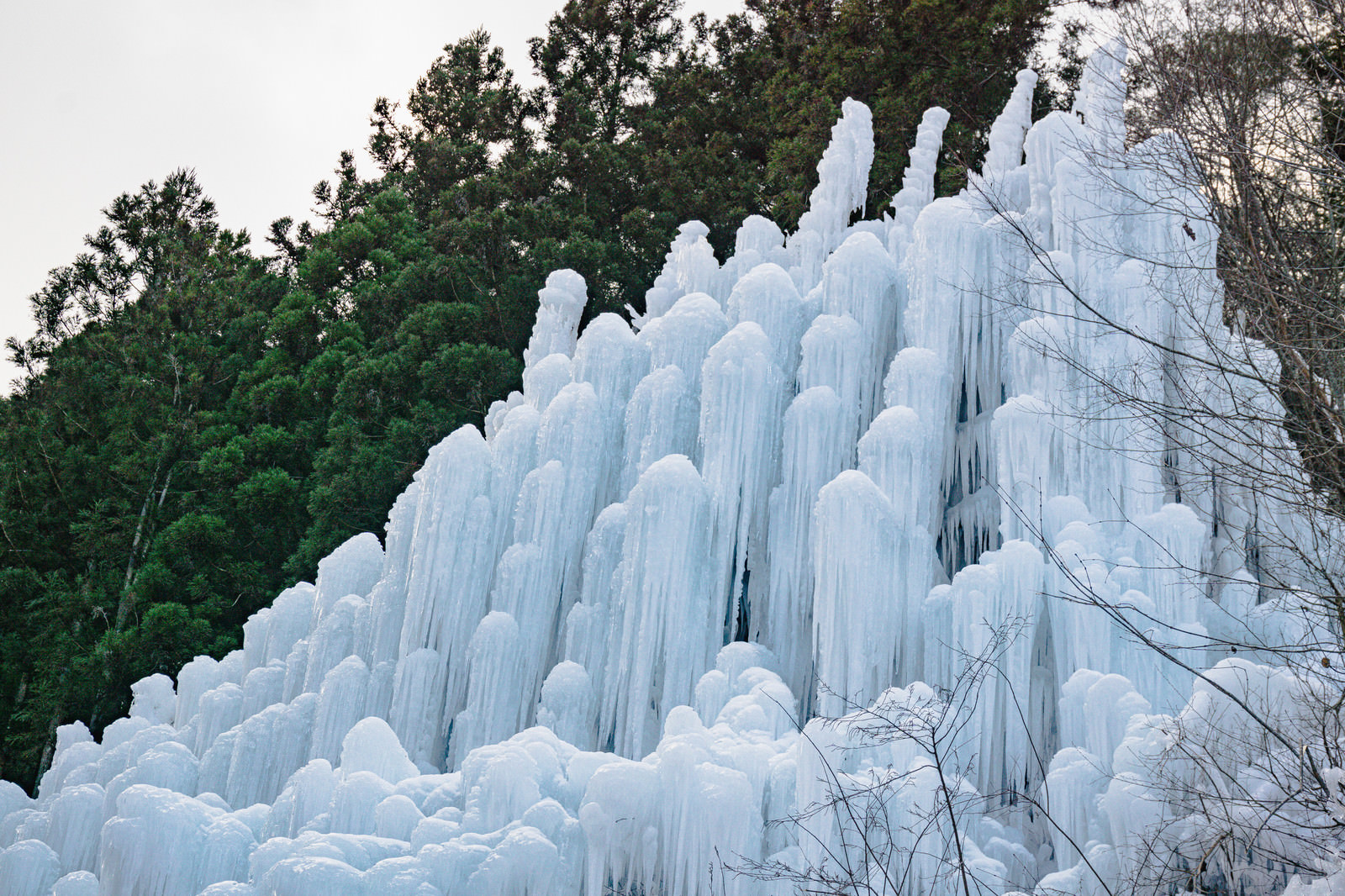 巨大な氷柱の群れが林を背景に立ち並ぶ 湧水公園 の写真を無料ダウンロード フリー素材 ぱくたそ 巨大な氷柱の群れが林を背景に立ち並ぶ 湧水公園 の写真を無料ダウンロード フリー素材 ぱくたそ