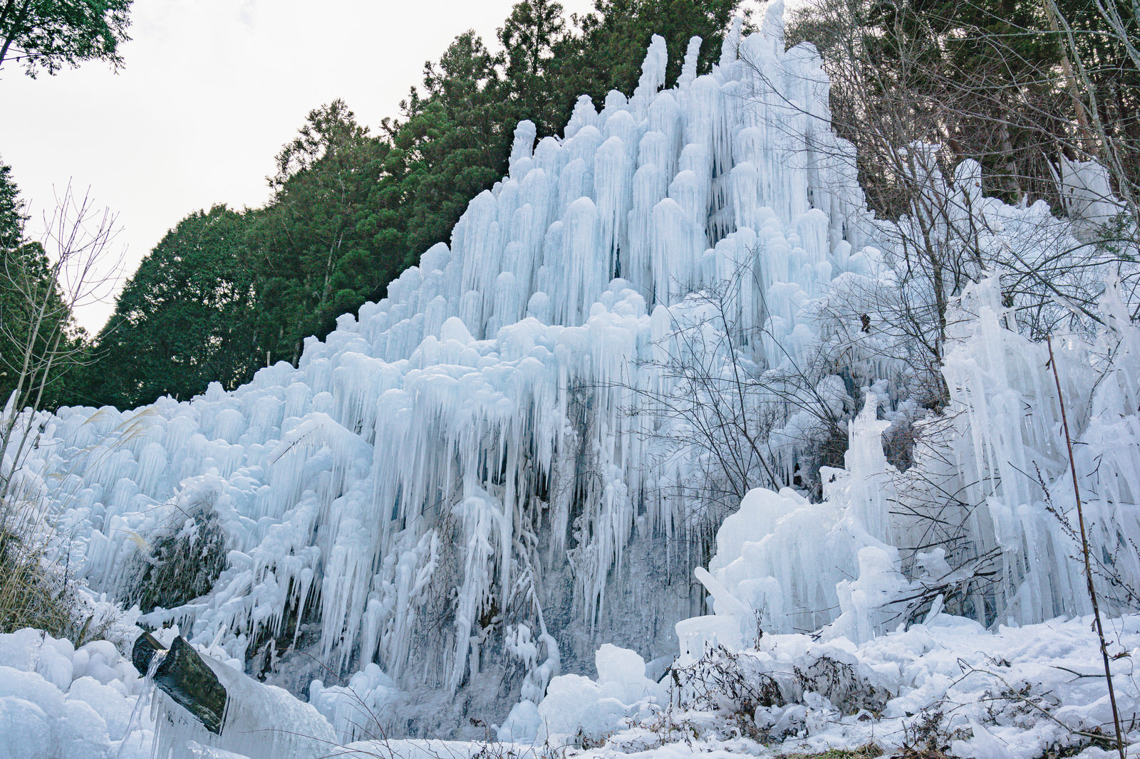 「湧水公園の氷瀑の様子」の写真