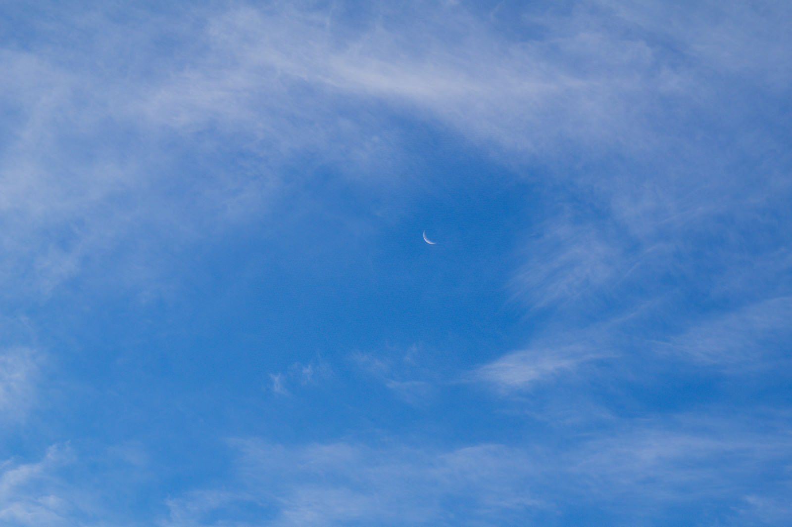 「朝の空に残る三日月」の写真
