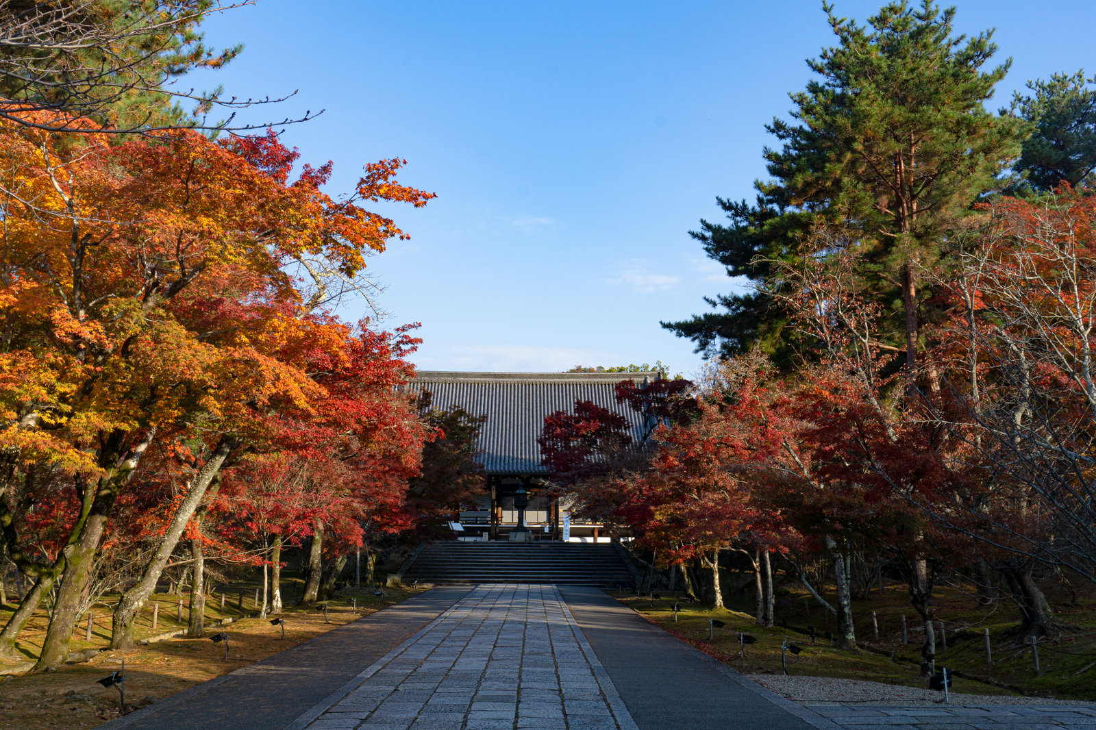 「紅葉の奥に見える仁和寺の金堂 | フリー素材のぱくたそ」の写真