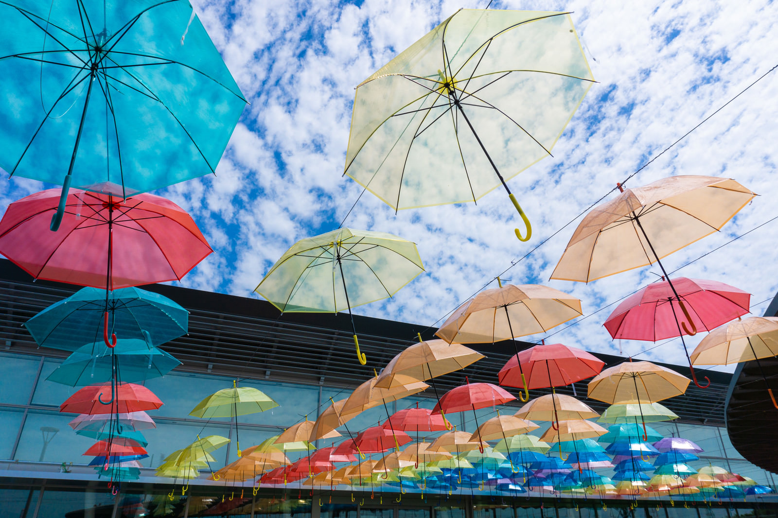 「梅雨の合間の晴れた空に並ぶたくさんのカラフルな傘（道の駅パレットピアおおの 岐阜県）」の写真