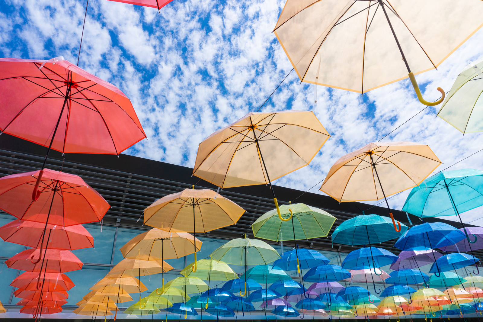 「晴れた空を彩る傘の花（道の駅パレットピアおおの） | フリー素材のぱくたそ」の写真