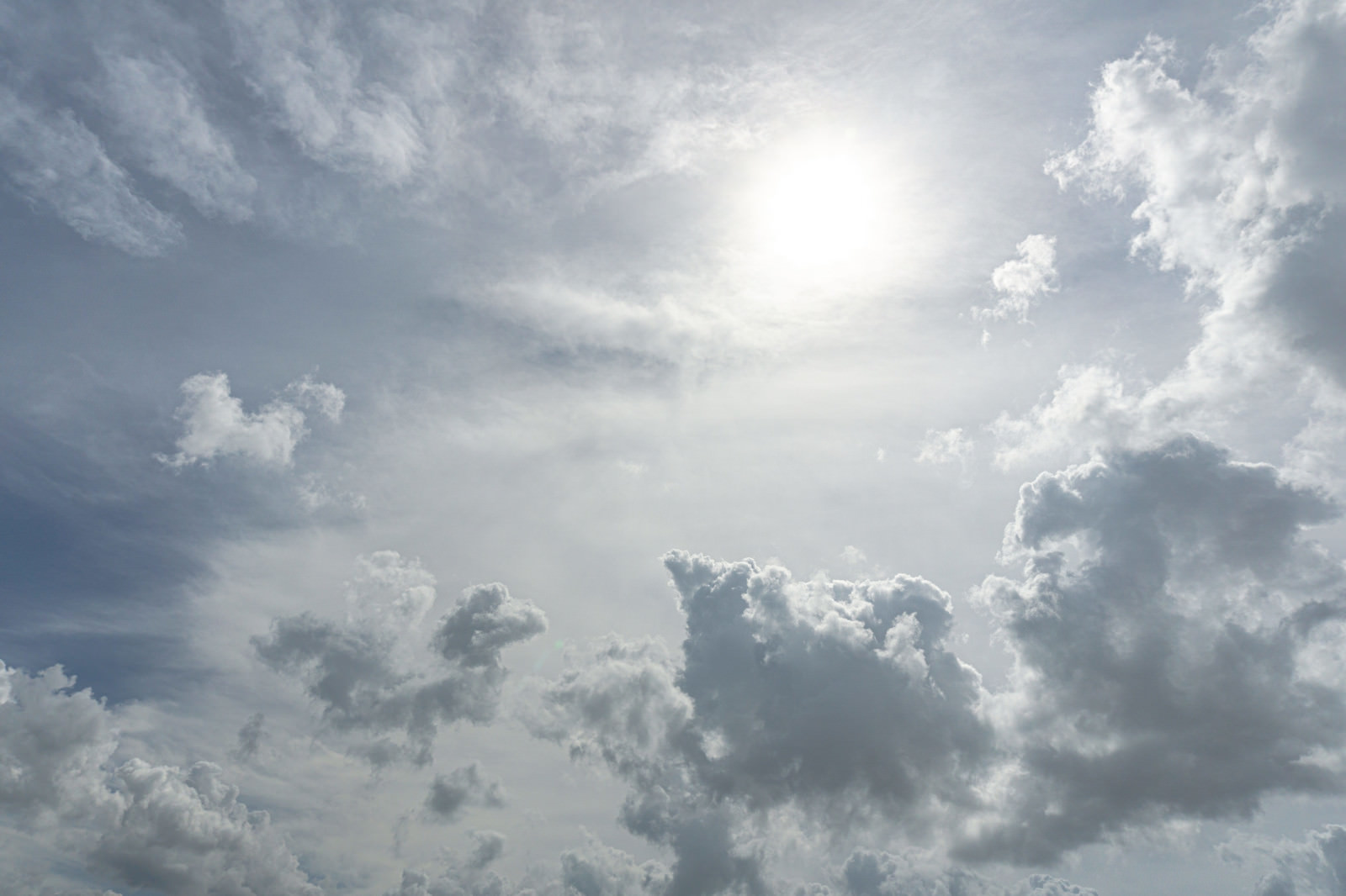 rectangle_large_type_2_de88744