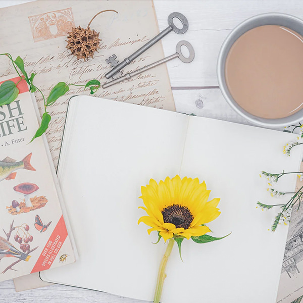 日常・生活シーンのタグ一覧